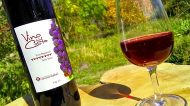 La Fiesta del Vino de la Costa 2025 llega a Berisso con tres días de festejos