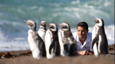 “El Señor de los Pingüinos”: documental sobre Pablo Borboroglu, ganador del "Premio Nobel a la Conservación"