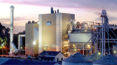 Reconocida aceitera instalará una mega planta de maní en Alem