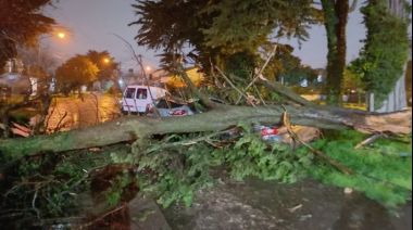 Temporal en Mar del Plata y Tandil deja “daños de consideración” y cortes generalizados de luz