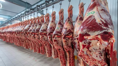 Más quita en retenciones: ahora también se las sacan a las carnes avícolas y bovinas