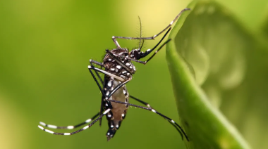 Piden reforzar el descacharrado para prevenir el dengue tras las últimas lluvias