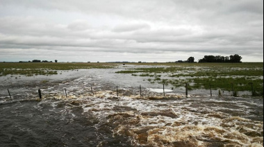 El Gobierno declaró la emergencia agropecuaria en diez municipios bonaerenses