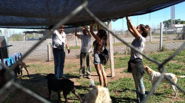 Chacabuco lanza un plan para dar hogar a 70 perros con beneficios impositivos