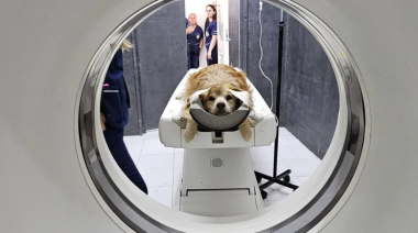 La Facultad de Veterinarias de la UNLP incorporó un tomógrafo de alta complejidad