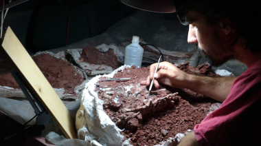 La UNLP participó del hallazgo de uno de los dinosaurios más antiguos del mundo en La Rioja