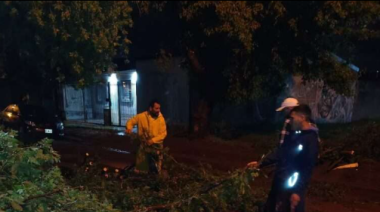 Temporal en Junín deja techos volados, cortes de luz y familias evacuadas