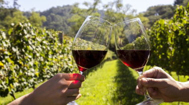 Vino, turismo y naturaleza: el auge del enoturismo en la provincia de Buenos Aires