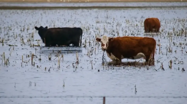 ARBA eximió este año del Inmobiliario Rural a campos de 19 distritos afectados por inundaciones