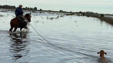 Reclamo urgente por la paralización del tramo crítico del Salado entre Ernestina y la RN205