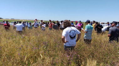 Guaminí será reconocida como “Faro de la Agroecología” por sus 5.000 hectáreas libres de agroquímicos