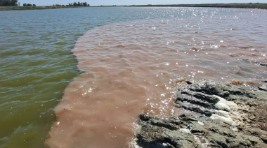 Procesaron al presidente de un frigorífico por contaminar el Río Salado