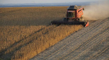 El Gobierno oficializó una baja de retenciones para soja, cereales y oleaginosas