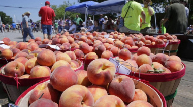 Mercedes celebra la Fiesta Nacional del Durazno: cuándo es y qué propuestas ofrece