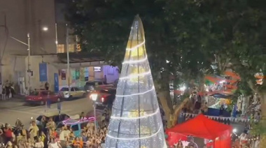 Olavarría: desde una unidad penitenciaria de Sierra Chica crearon un árbol navideño gigante