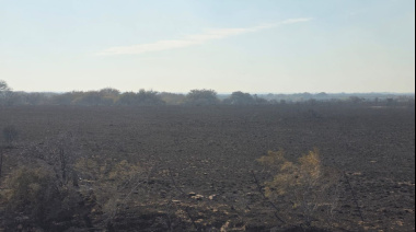 Incendio rural en el sur de Puan ya afectó más de 10 mil hectáreas