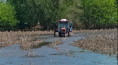 Inundaciones: prorrogan la emergencia agropecuaria a varios distritos bonaerenses