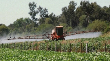 La Corte bonaerense frenó artículos clave de las ordenanzas sobre agroquímicos en Tandil y Rauch
