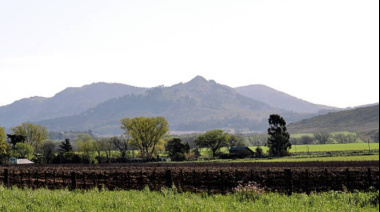 Un 5 % de la tierra rural de Tandil está en manos de extranjeros