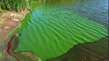 De verde intenso a bandera roja: la laguna que preocupa a toda la provincia