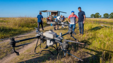 Municipio del interior combate el avance del barigüí con drones: calificaron la situación como “crítica”