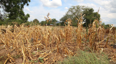 Enero fue el más seco en 60 años y crece la preocupación en el norte bonaerense