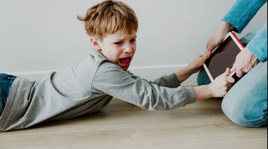 Avanza en la provincia un proyecto para prohibir redes sociales a menores de 13 años