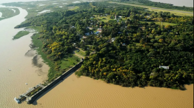 Emergencia fitosanitaria en la isla Martín García por la detección de una peligrosa plaga