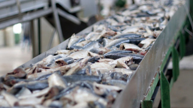 La Costa refuerza la pesca artesanal con nuevos puntos de venta