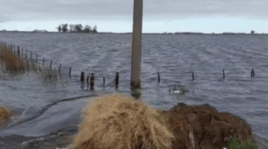 El Gobierno nacional extiende la emergencia agropecuaria en 18 distritos bonaerenses