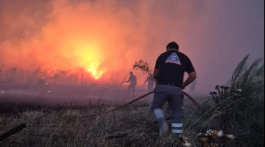 Incendios forestales en el sur de Mar del Plata ya afectaron más de 200 hectáreas
