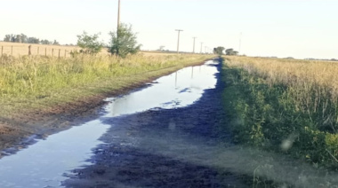 La Justicia ordenó devolver cobros por tasa vial en Daireaux y fijó un precedente