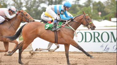 Chau cash: la Provincia obliga a usar QR en agencias, hipódromos y casinos