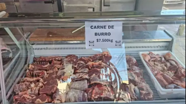 Burro vs. vaca, ventajas y desventajas de cada carne