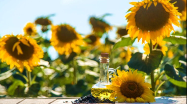 El girasol argentino alcanzó una marca récord de producción y exportaciones