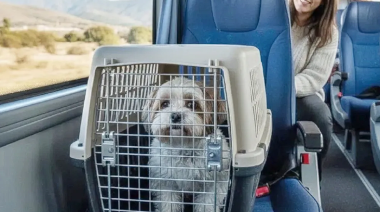Cómo viajar en tren con mascotas