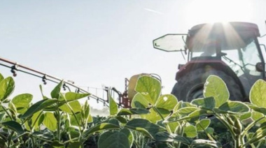 El Gobierno confirmó una baja escalonada de retenciones para granos y biocombustibles