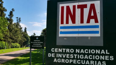 INTA Balcarce: los retiros voluntarios redujeron un 18% la planta de personal
