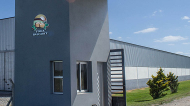 Balcarce: cerró una fábrica de papas congeladas y hay 50 trabajadores despedidos