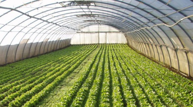 La Provincia vuelve a censar a los productores hortiflorícolas después de 20 años