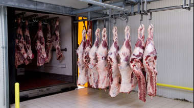EE.UU. habilitó 300.000 toneladas extra de carne, pero Argentina quedó afuera