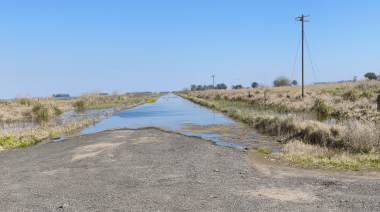 Declararon la emergencia agropecuaria por inundaciones en 9 de Julio y Necochea