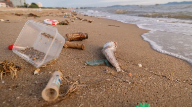Vuelve el censo de basura costera: será el sábado en 22 localidades bonaerenses