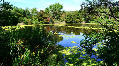 Reserva Natural de Vicente López: el refugio verde que sorprende en plena ciudad