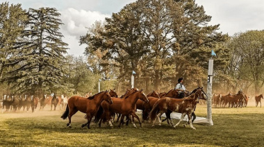 Del 7 al 11 de octubre, Bragado vive la Fiesta Nacional del Caballo con muestras y shows
