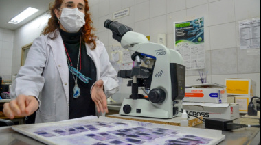 Profesionales de hospitales bonaerenses podrán ser investigadores asociados de la CIC