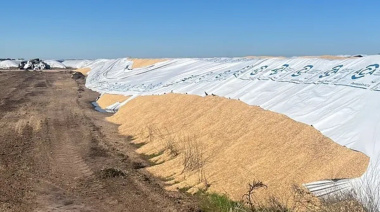 Vandalismo rural: Diputados aprobó penas de hasta 10 años y CARBAP celebró la votación