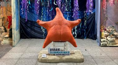 La muestra "Vidas submarinas" inicia una gira por cinco municipios de la Provincia