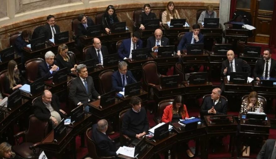 El Senado convirtió en ley la declaración de emergencia en discapacidad