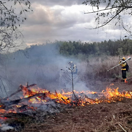 Incendios en el Delta del Paraná: continúan activos focos en territorio bonaerense